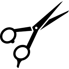 hair care icon